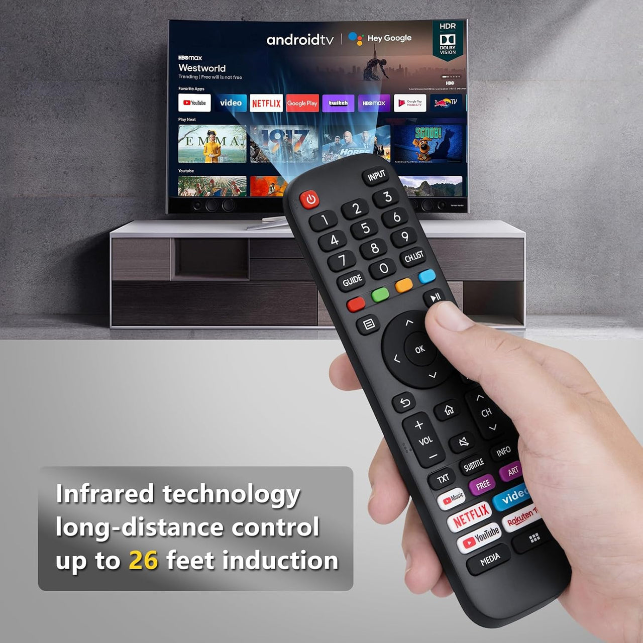 Hisense TV Replacement Remote EN-2G30H