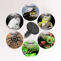 Thumbnail for Reptile Light Ceramic Heat Lamp 50W