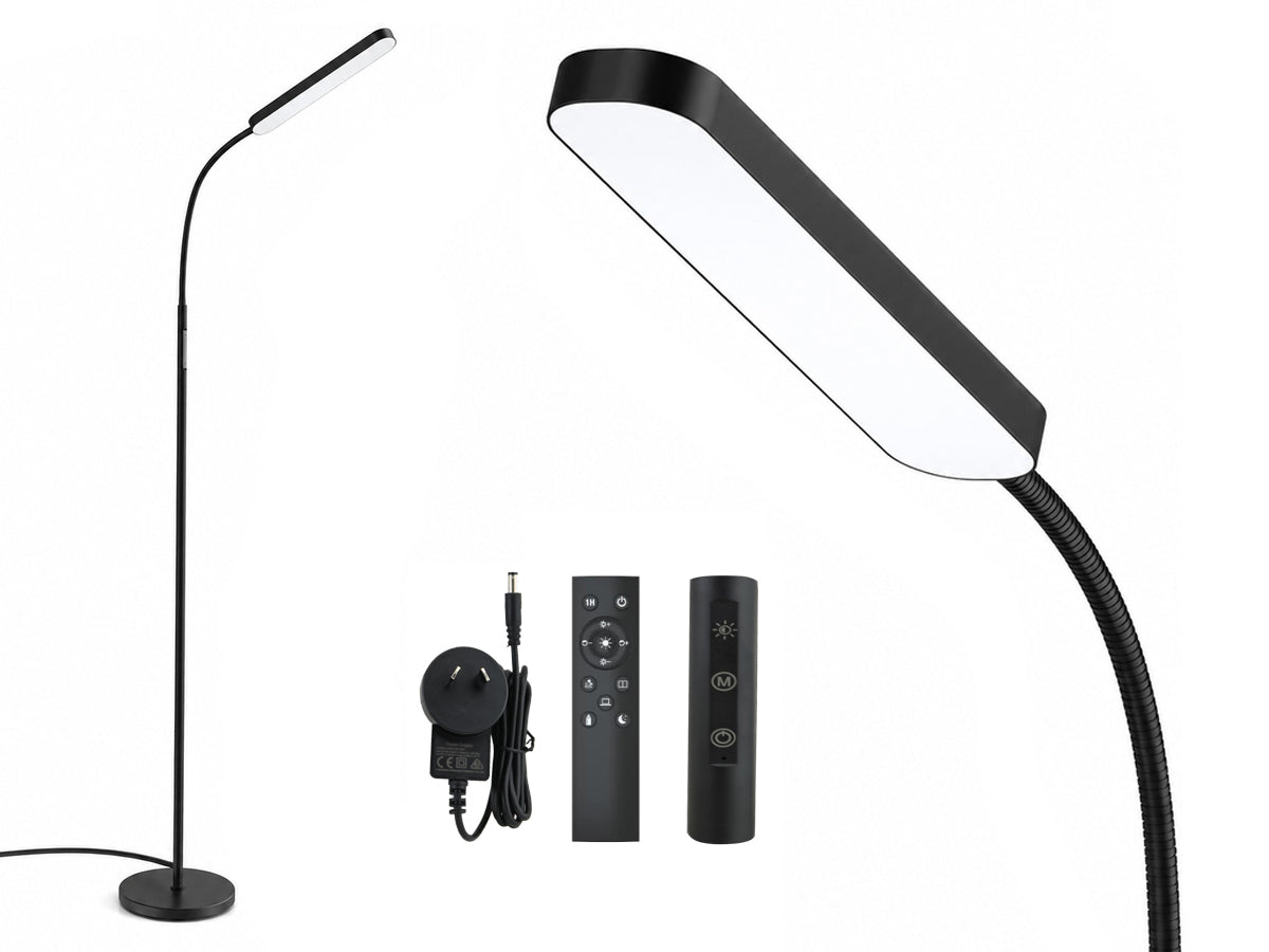 LED Floor Lamp