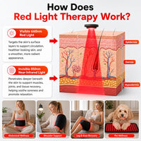 Thumbnail for Red Light Therapy Wrap and Belt