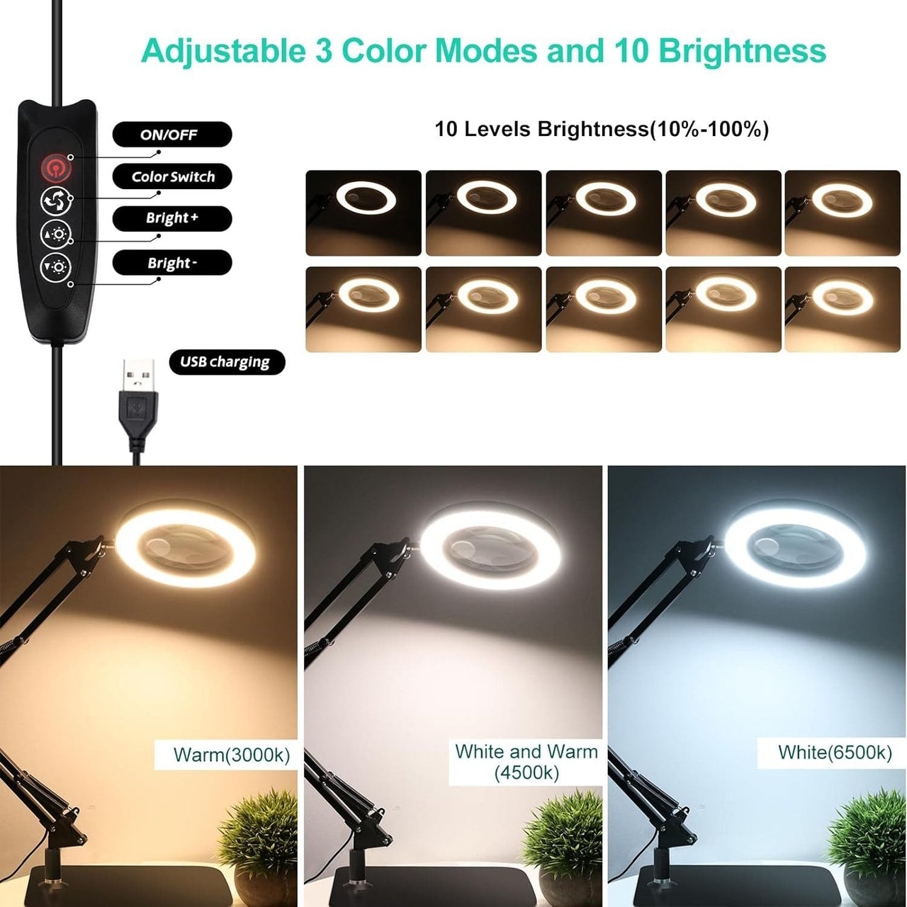 Magnifying Desk Lamp