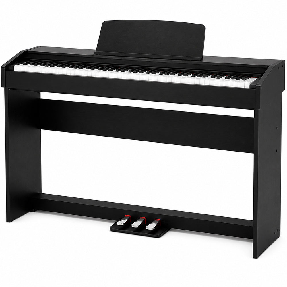 Weighted Hammer Action Keyboard Piano with 3 Pedals