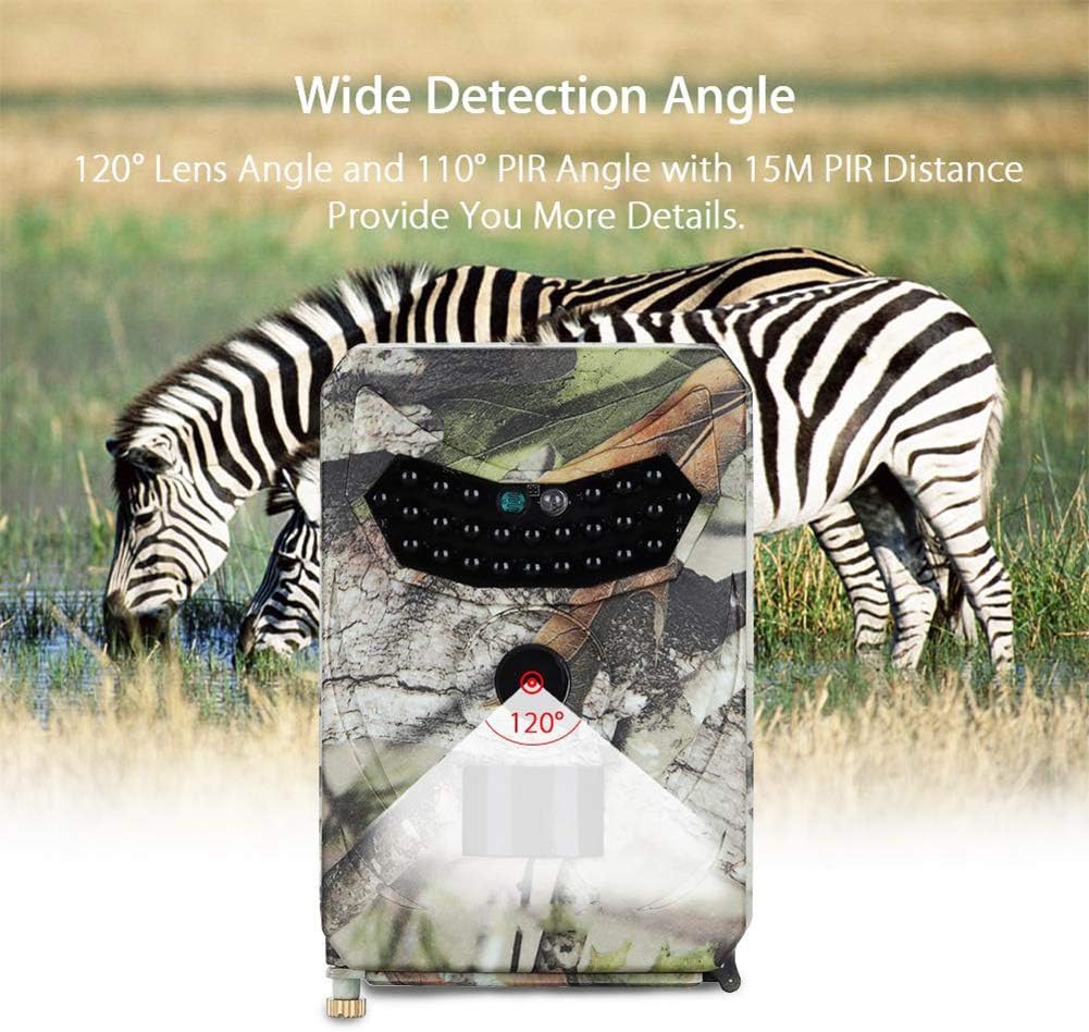 Hunting Trail Camera