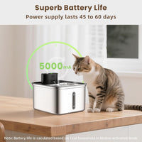 Thumbnail for Automatic Cat Water Fountain
