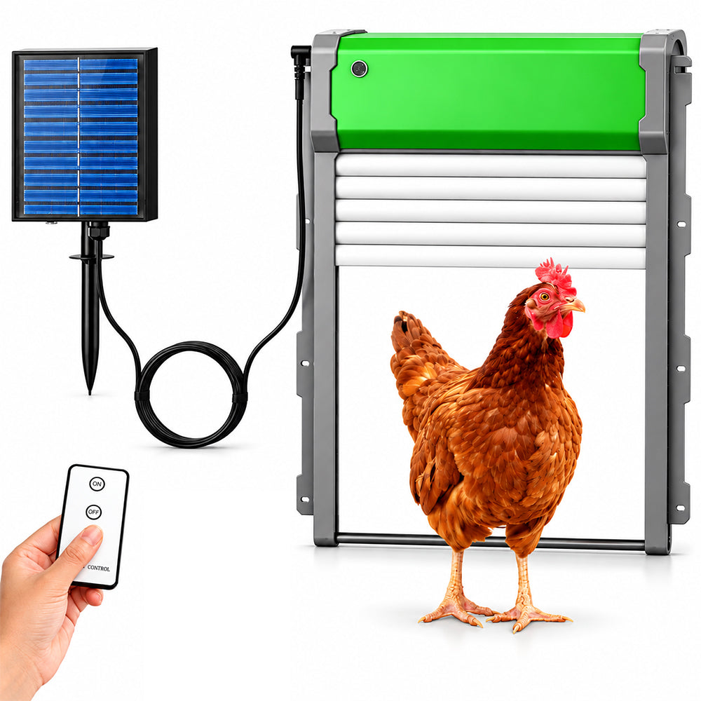 Automatic chicken coop door