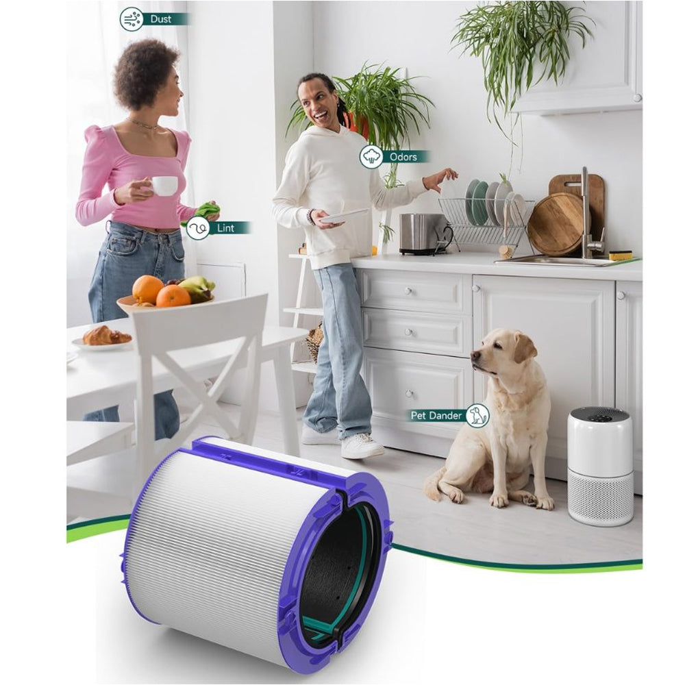 Replacement Hepa+Carbon Filter Compatible Dyson