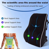 Thumbnail for Lumbar Support Pillow