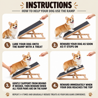 Thumbnail for Dog Ramp