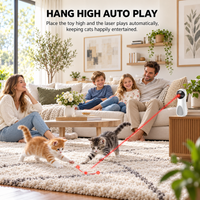 Thumbnail for Cat Laser Toy