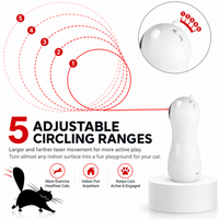 Thumbnail for Cat Laser Toy