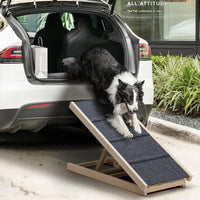 Thumbnail for Dog Ramp Steps