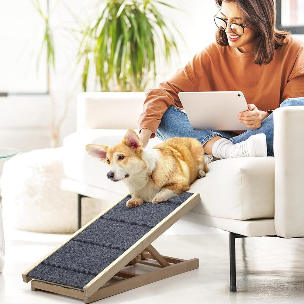 Dog Ramp Steps
