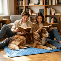 Thumbnail for Pet Cooling Mat  Large