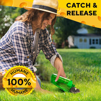 Thumbnail for Rat Traps Catch and Release Indoor / Outdoor Mouse Traps Pack of 2