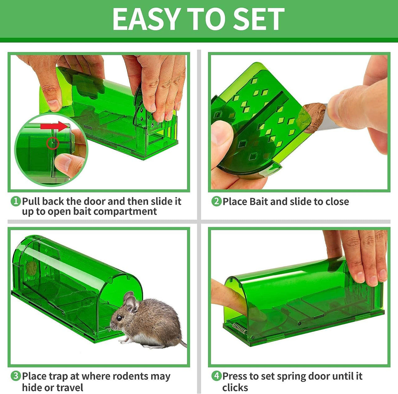 trap for catching mice safely