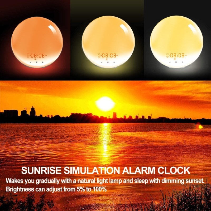 Digital clock with user manual