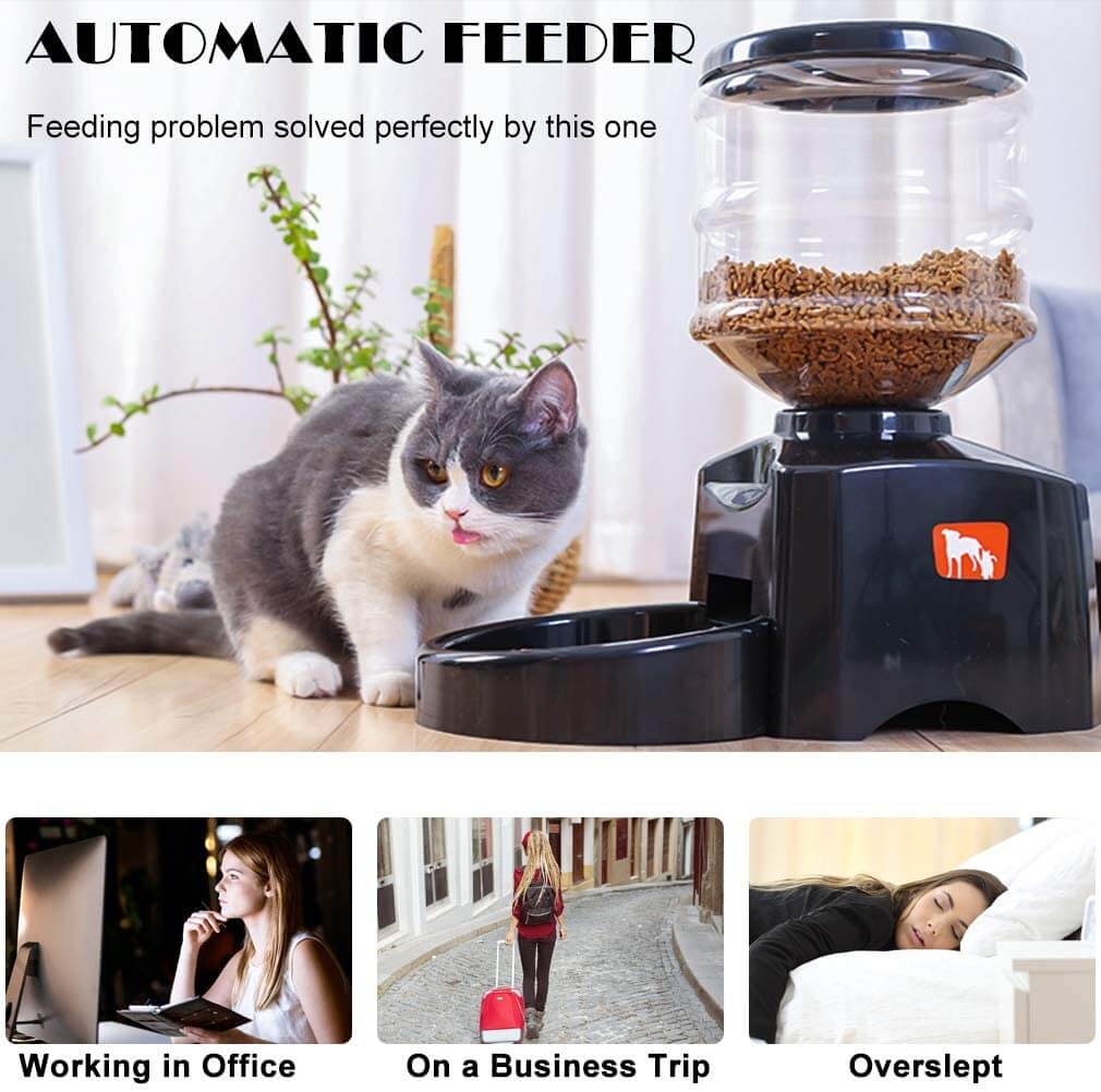 Feeder designed for small and medium pets