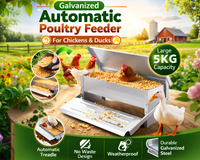 Thumbnail for Automatic Chicken Feeder 5kg