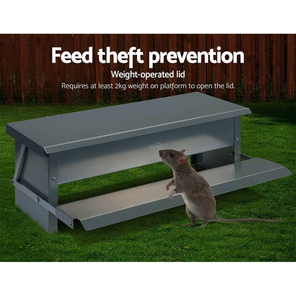 Chicken feeder lid open