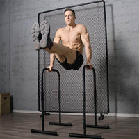 Thumbnail for Dip Bars Dip Stands Training Station - Pair