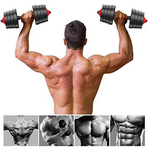 Adjustable Dumbbells 2X15kg Dumbbell - The Shopsite