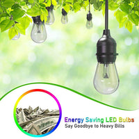Thumbnail for Festoon Lights with 20M 24 bulbs RGB