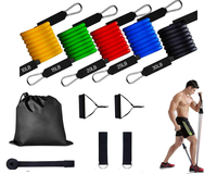 Thumbnail for Fitness Exercises Resistance Bands Set