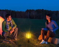 Thumbnail for Solar Light – Solar Light with Realistic Flame for Garden Decor