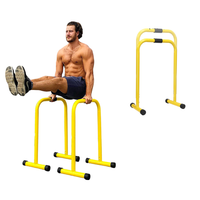 Thumbnail for Parallel bars with wide grip handles