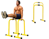 Thumbnail for Dip Stand Parallel Bar Station