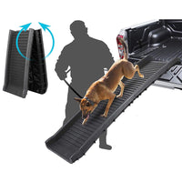 Thumbnail for Ramp dimensions 155cm by 40cm