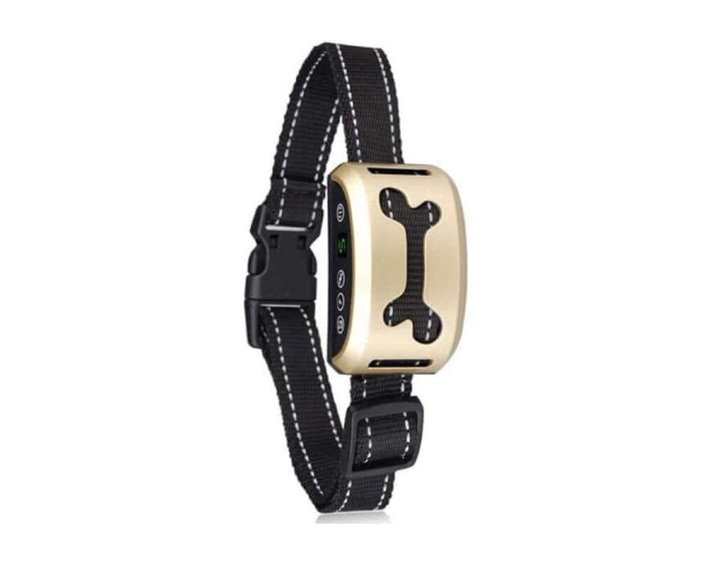 Dog bark collar on medium size dog