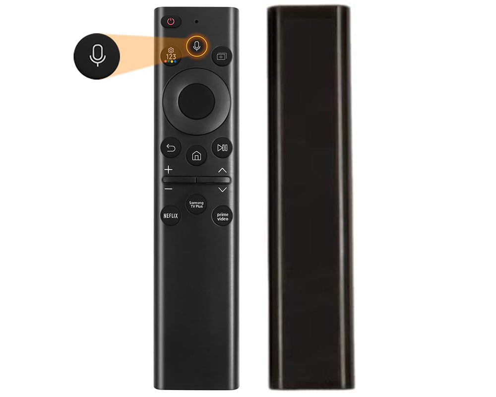 Remote showing voice command button