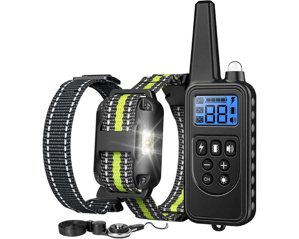 Dog collar with test bulb accessory