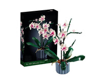 Thumbnail for Finished orchid model displayed indoors