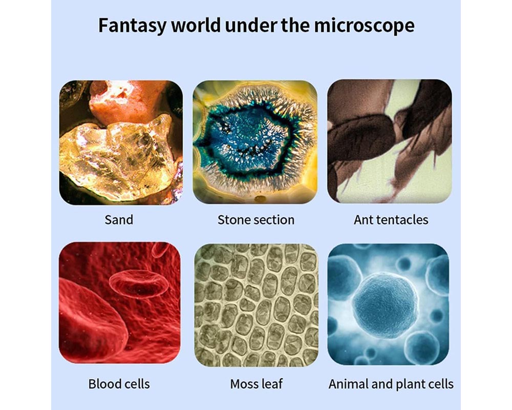 Portable Kids Microscope