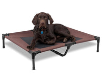 Thumbnail for Dog Trampoline Bed