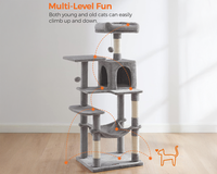 Thumbnail for Cat Tree House