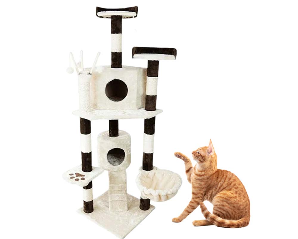 Side angle showing stable base