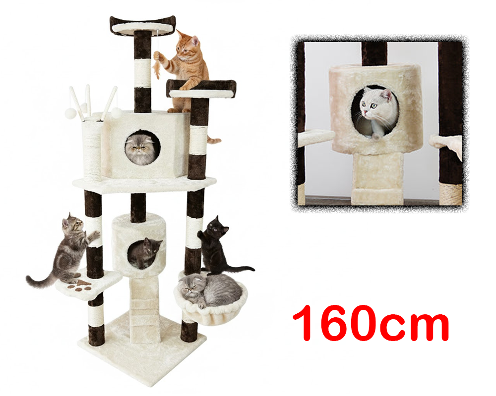 Cat resting on large platform