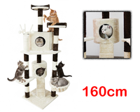 Thumbnail for Cat resting on large platform