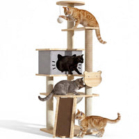 Thumbnail for Cat climbing on ladder