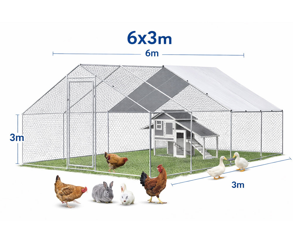 Chicken coop run installed outdoors