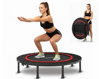 Thumbnail for Mini trampoline rebounder supporting 100kg weight