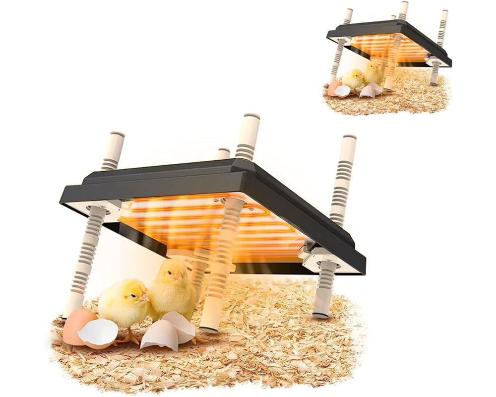Compact chick brooder heating plate dimensions shown