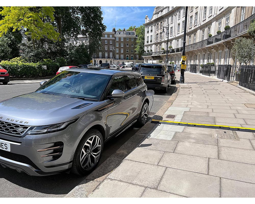 Ramp 2 Channel Cable Protector Ramp