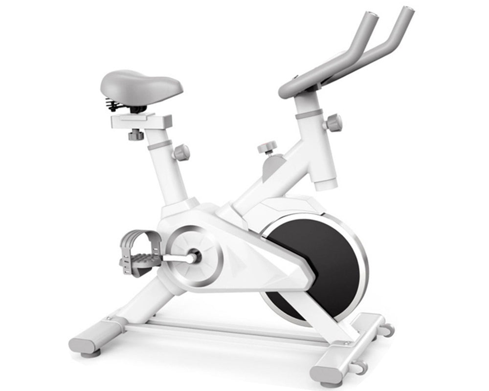 bike for home gym