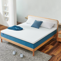 Thumbnail for Single Bed Mattress