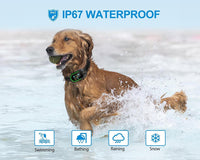 Thumbnail for Smart No-Bark Dog Training Collar