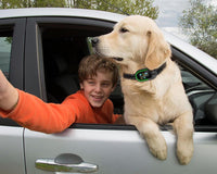 Thumbnail for Smart No-Bark Dog Training Collar